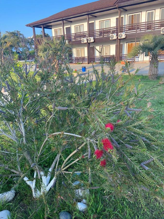 Al Mare Hotel Pizunda Bagian luar foto